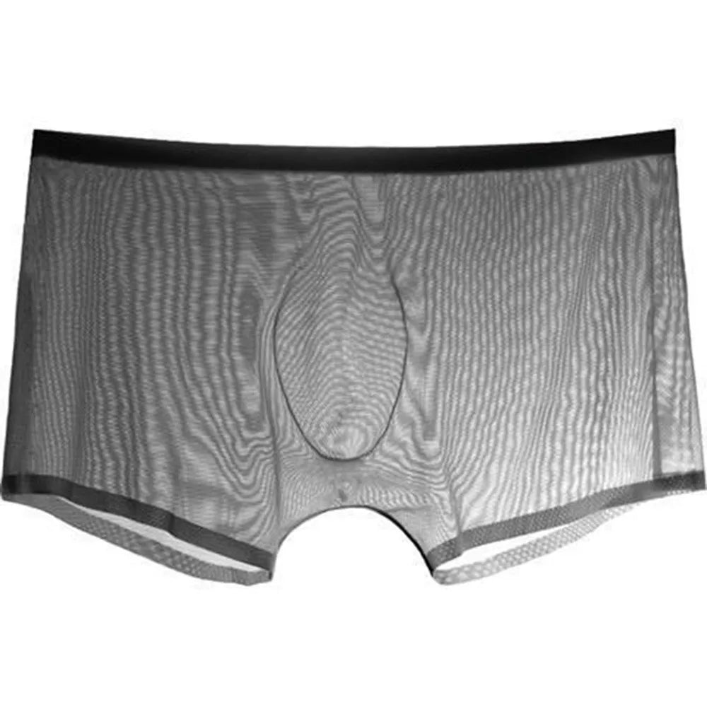 Transparent Boxers for Men – Bymotorman